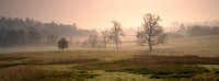 Cotswold landscape, early morning